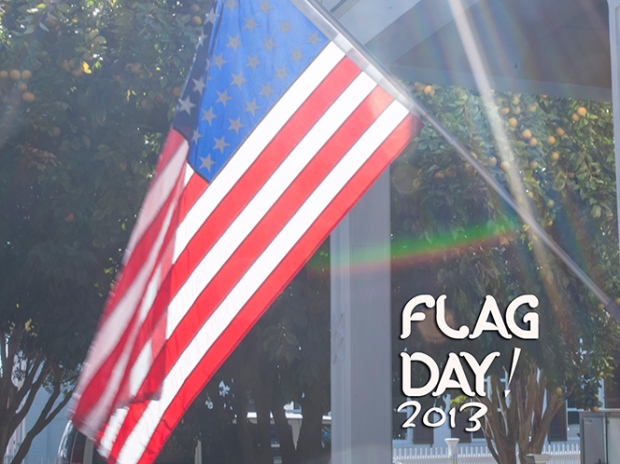 flag day web